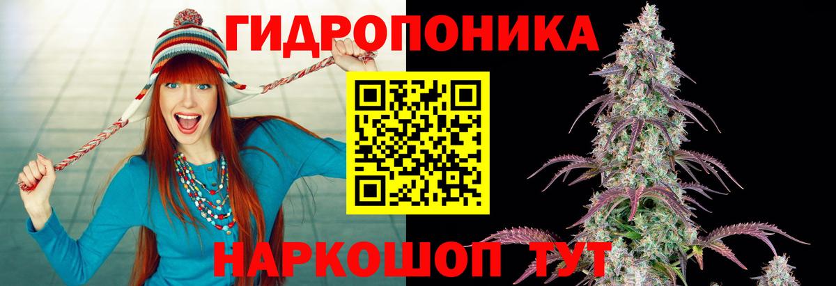 Бошки Шишки MAZAR  Вход с VPN  Волжск  Бошки марихуана марихуана  Марихуана марихуана 